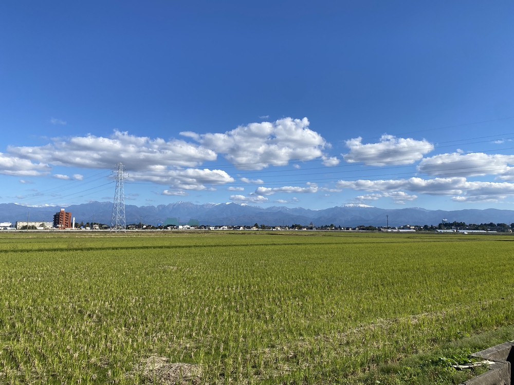 富山マラソン２０２２の写真15