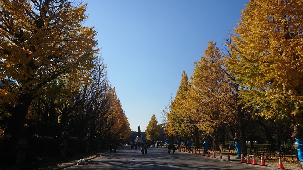都心の紅葉を楽しめる14.5kmの街ランの写真4