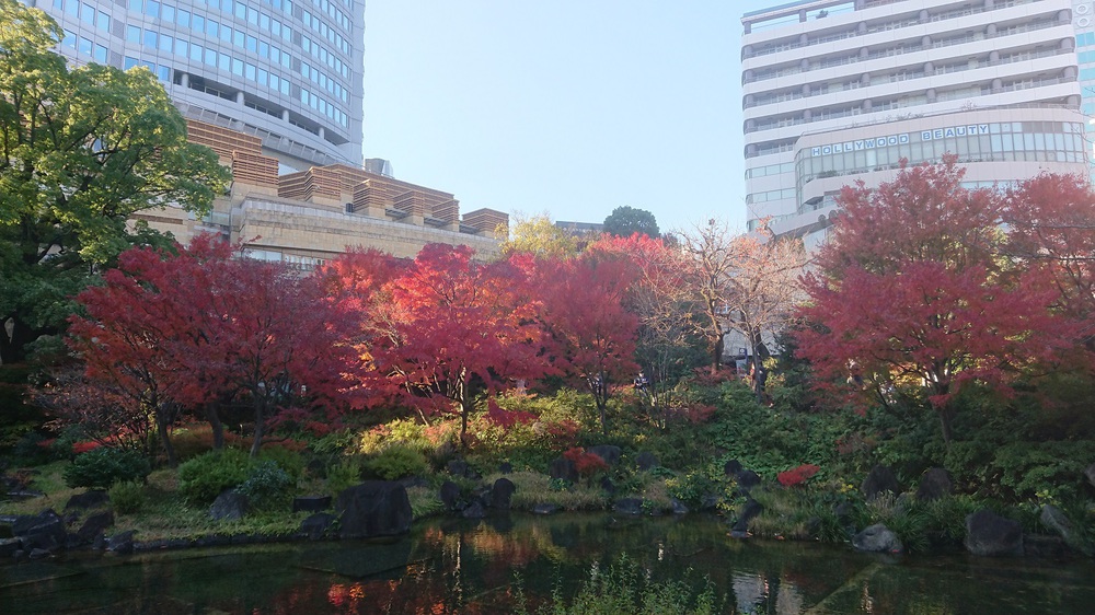 都心の紅葉を楽しめる14.5kmの街ランの写真6