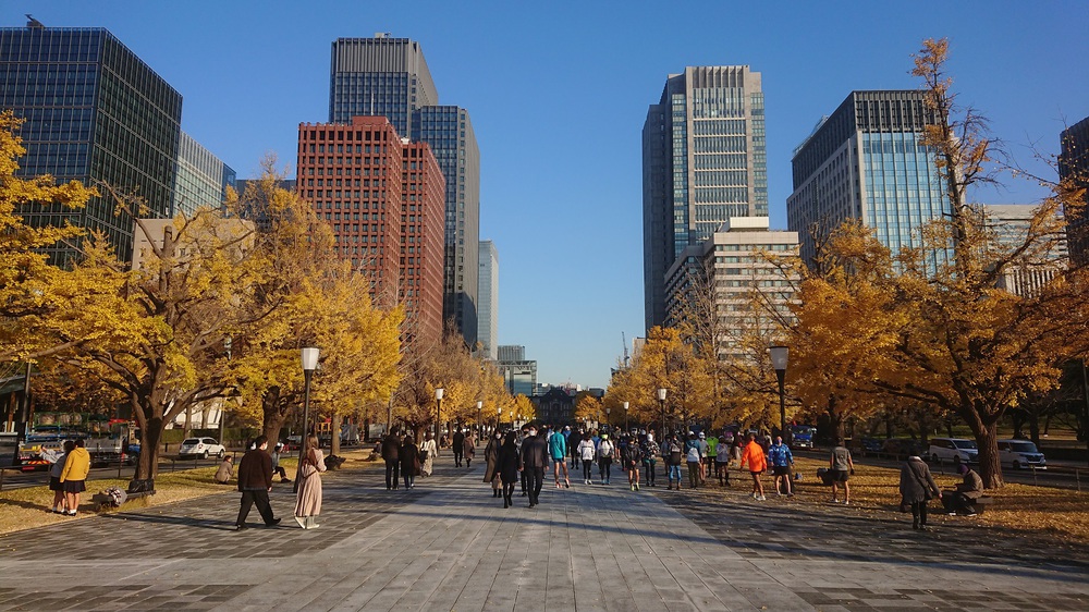 都心の紅葉を楽しめる14.5kmの街ランの写真8