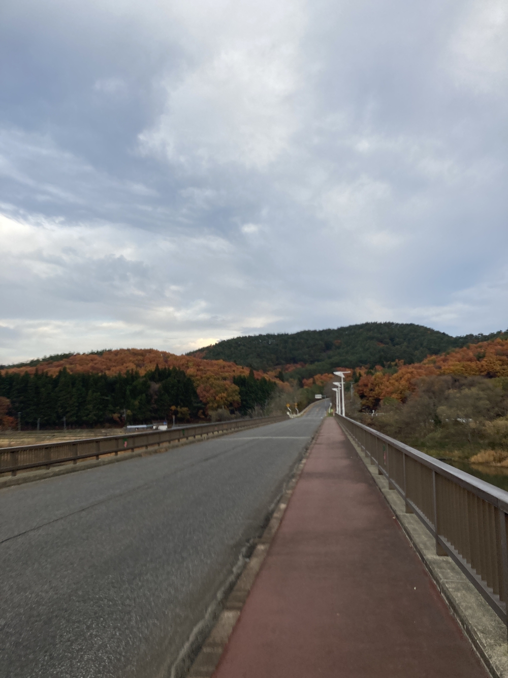 夏泊ほたてライン+浅虫温泉30〜32km走の写真3