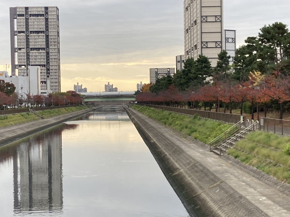 阪神芦屋、夙川河口、御前浜、西宮ヨットハーバーの写真3