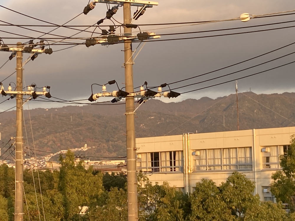 阪神芦屋、夙川河口、御前浜、西宮ヨットハーバーの写真4