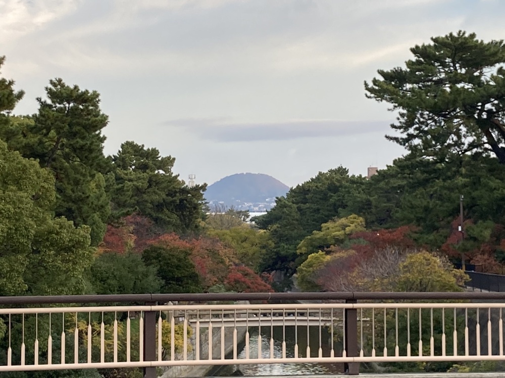 阪神芦屋、夙川河口、御前浜、西宮ヨットハーバーの写真7