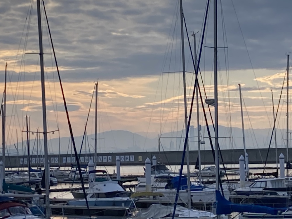 阪神芦屋、夙川河口、御前浜、西宮ヨットハーバーの写真10