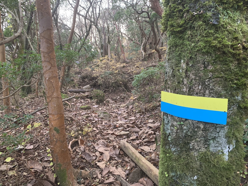 天城縦走（天城山から三筋山へ）の写真3