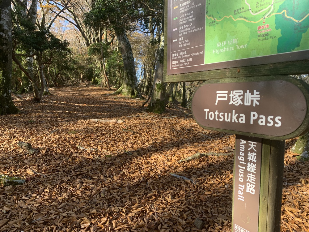 天城縦走（天城山から三筋山へ）の写真7