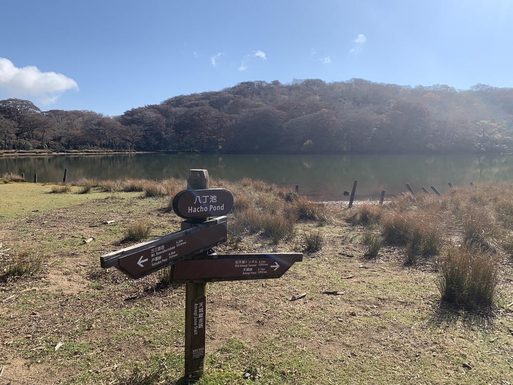 天城縦走（天城山から三筋山へ）の写真8