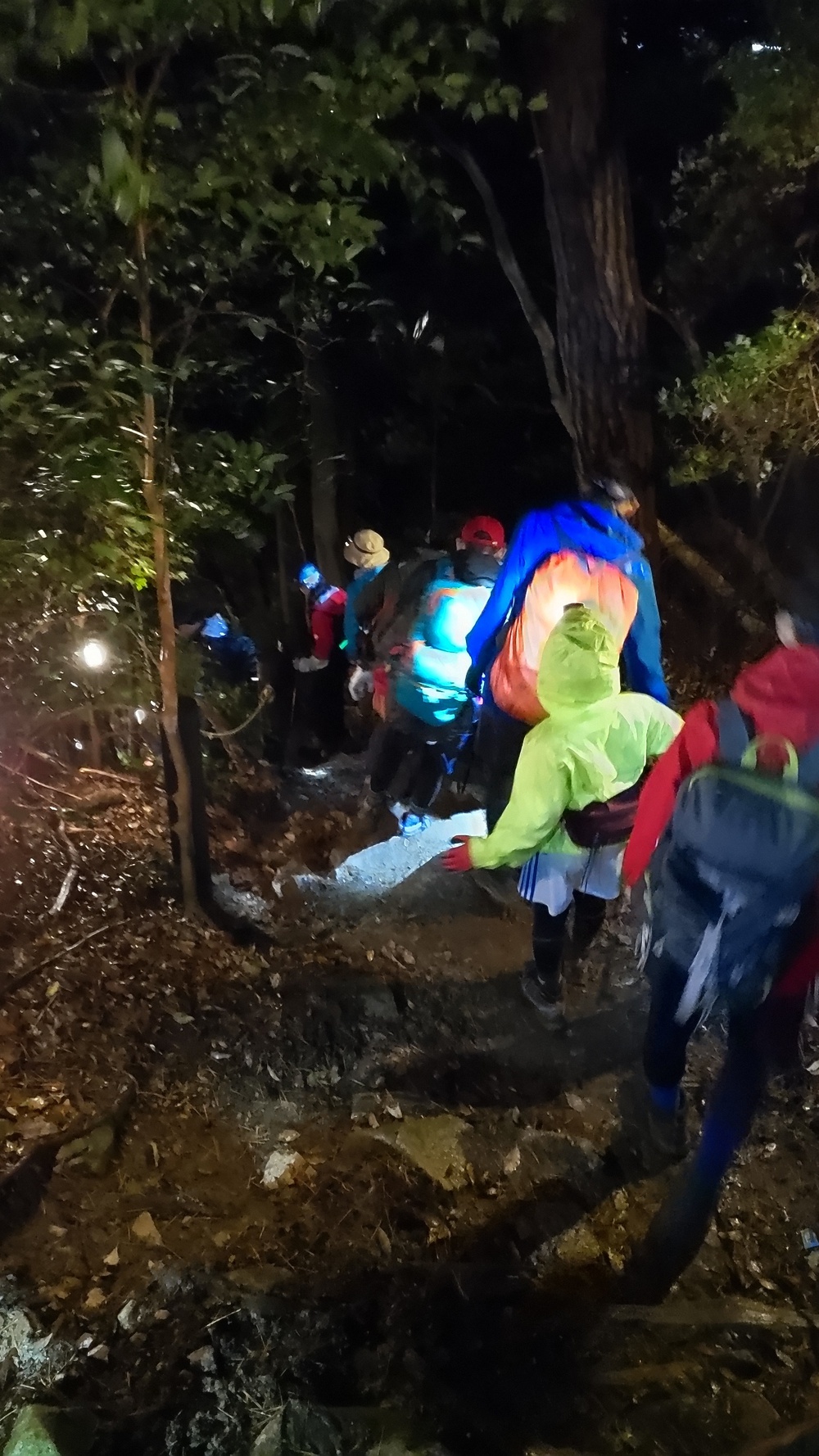 六甲山全山縦走の写真7