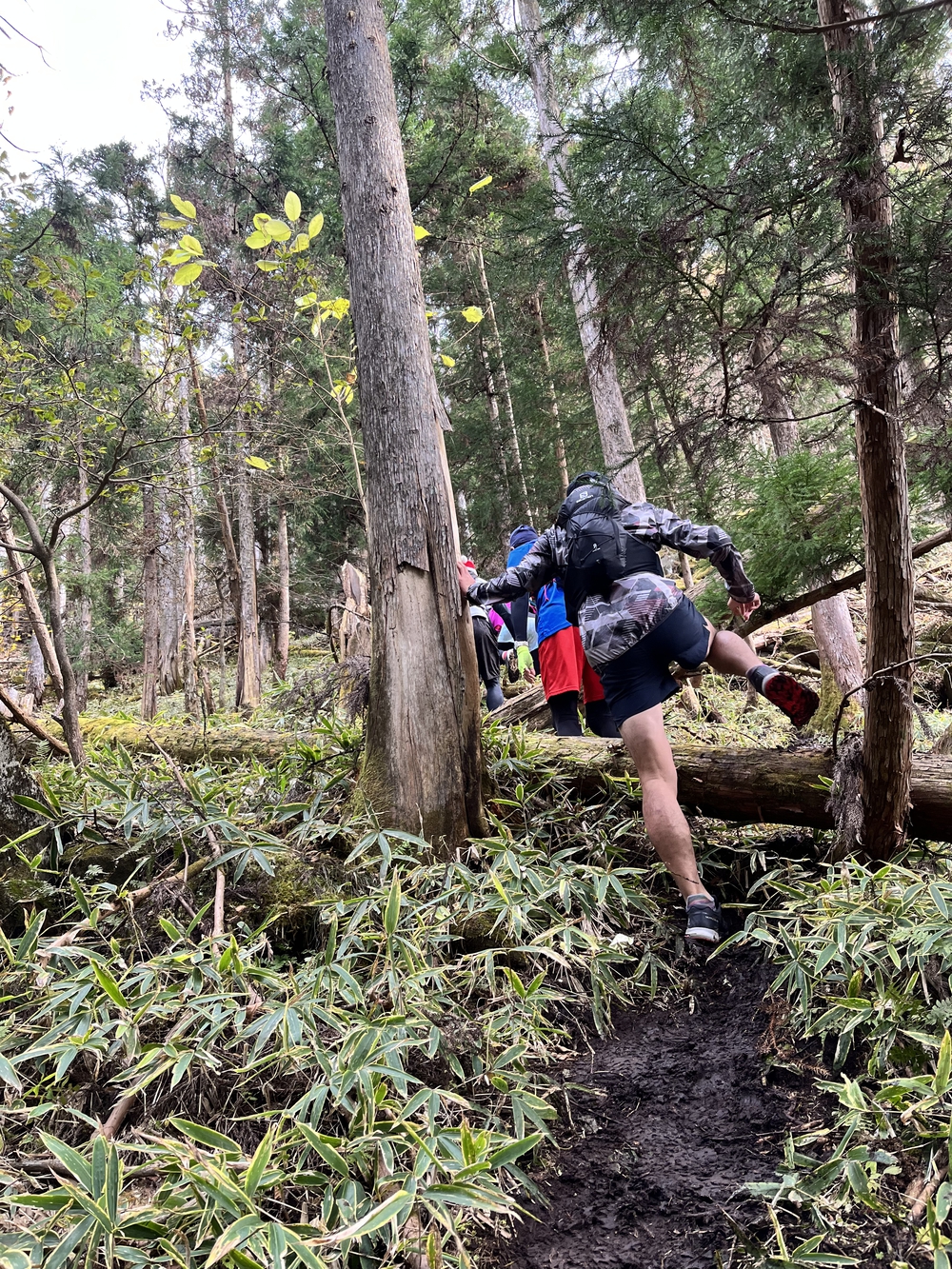 第7回日光国立公園マウンテンランニング（ミドルコース）の写真16