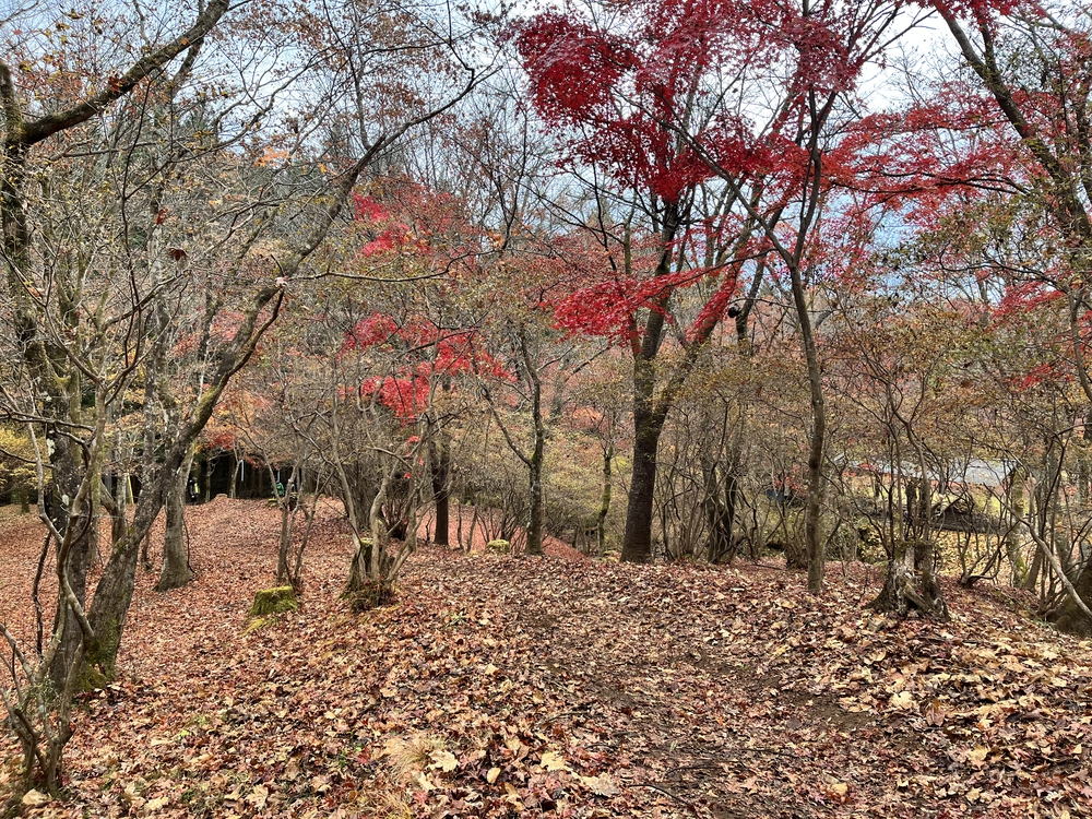第7回日光国立公園マウンテンランニング（ミドルコース）の写真24