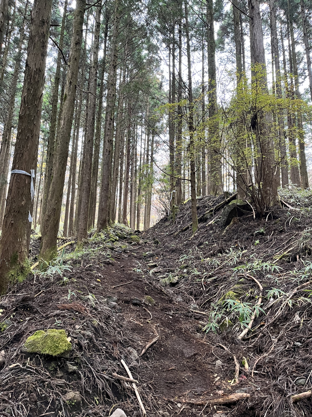 第7回日光国立公園マウンテンランニング（ミドルコース）の写真25