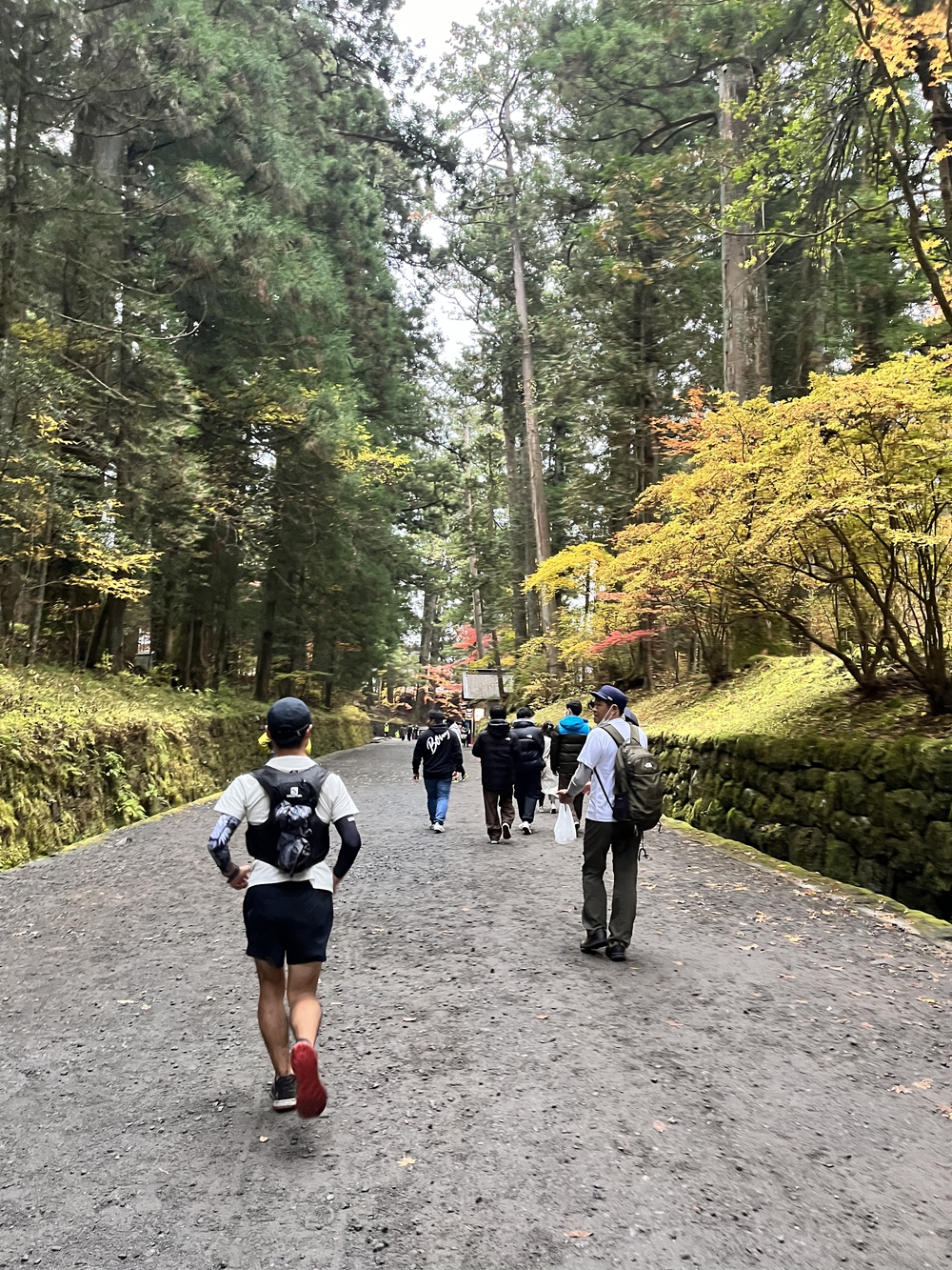 第7回日光国立公園マウンテンランニング（ミドルコース）の写真27