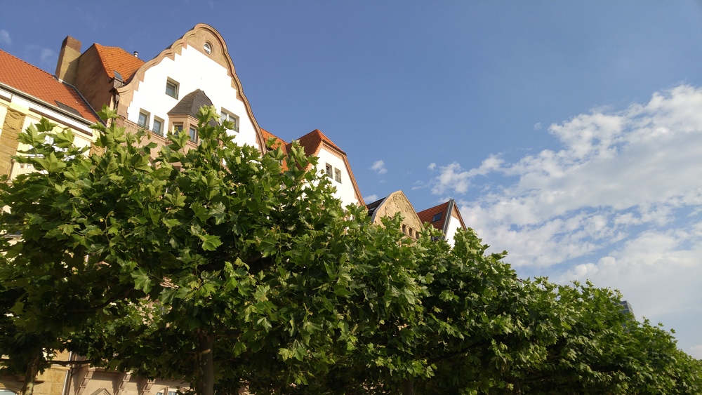 ライン川右岸：川下りコース（デュッセルドルフ）の写真8