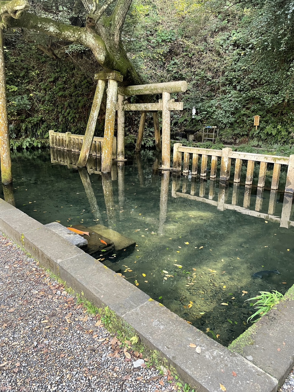 歌川広重と共にRUN 鹿島大神宮の写真7