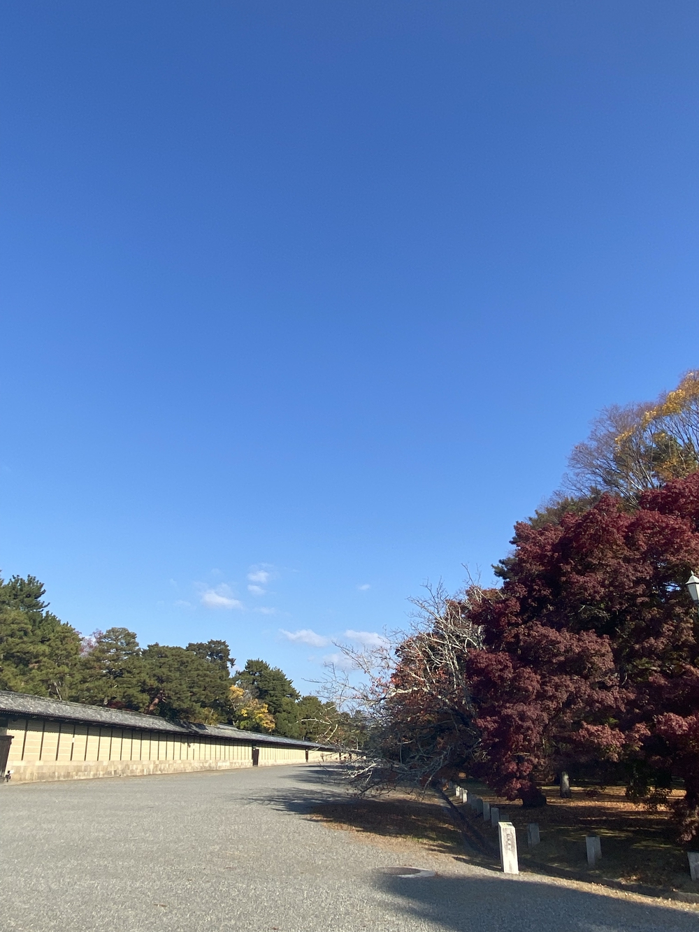 秋の京都の写真3