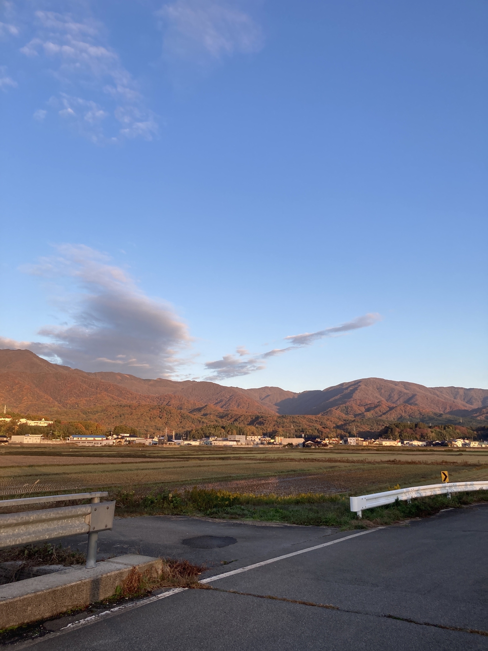 加茂湖3/4周+トキの森公園を通る絶景コースの写真6