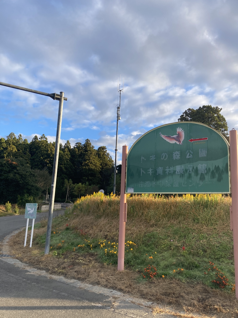 加茂湖3/4周+トキの森公園を通る絶景コースの写真7