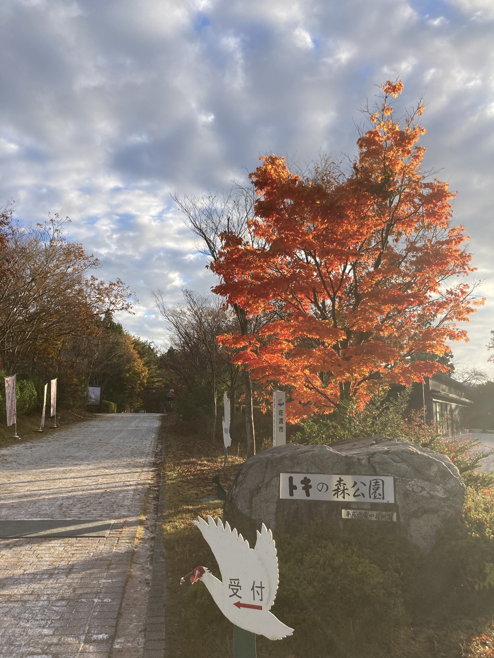加茂湖3/4周+トキの森公園を通る絶景コースの写真8