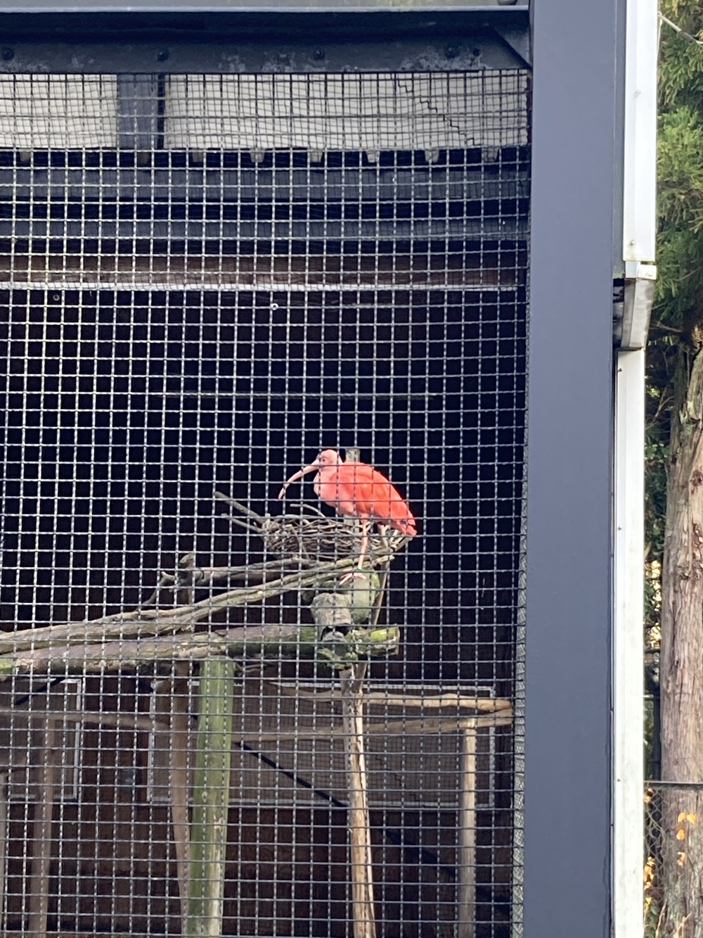 加茂湖3/4周+トキの森公園を通る絶景コースの写真9