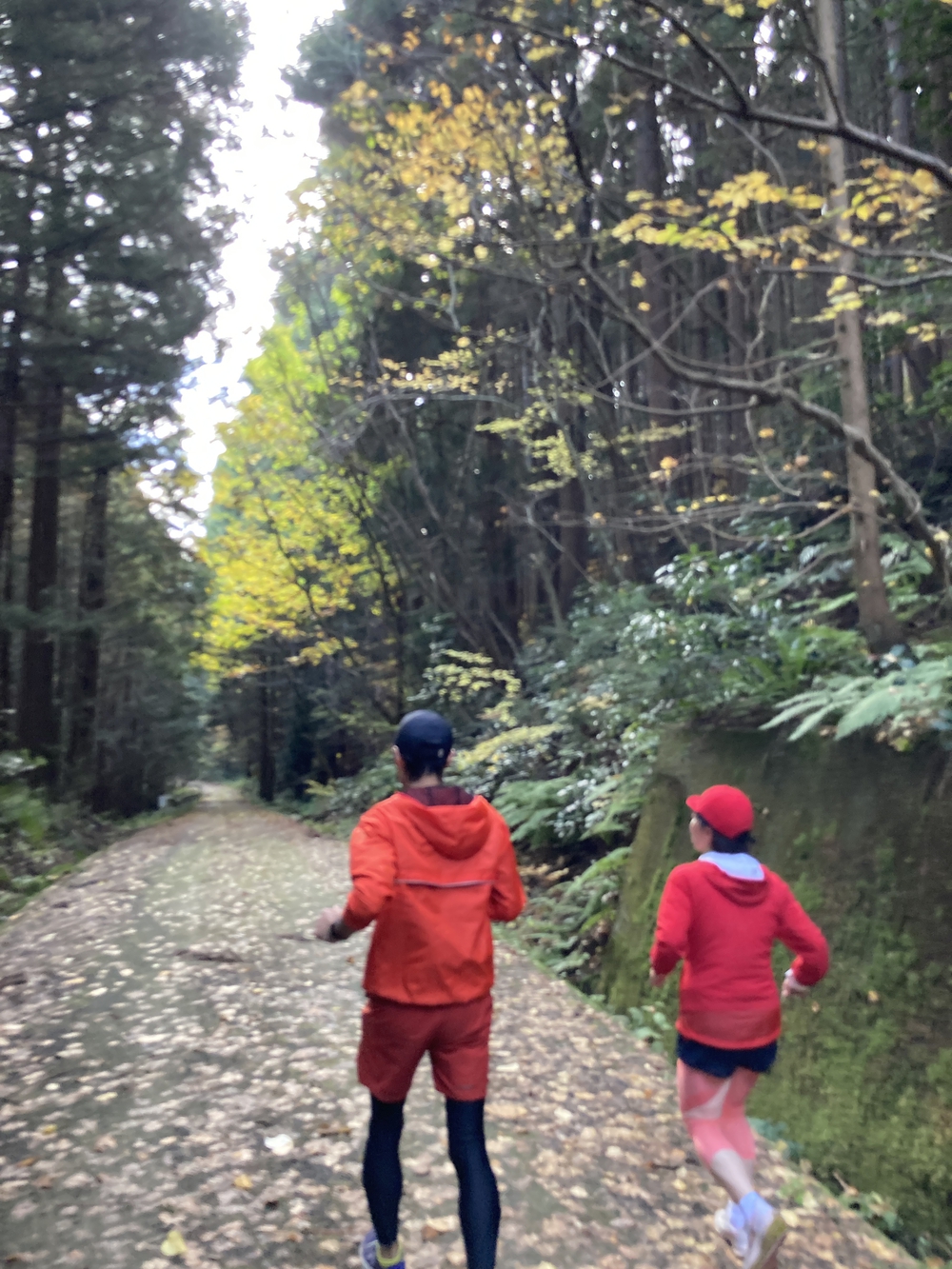 弥彦山近くの隠れた名ルート(だいろの湯スタート/ゴール)の写真6