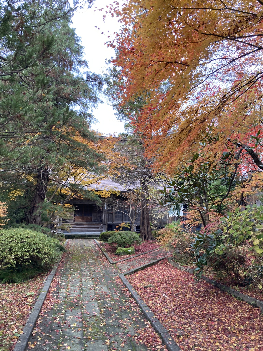 弥彦山近くの隠れた名ルート(だいろの湯スタート/ゴール)の写真7