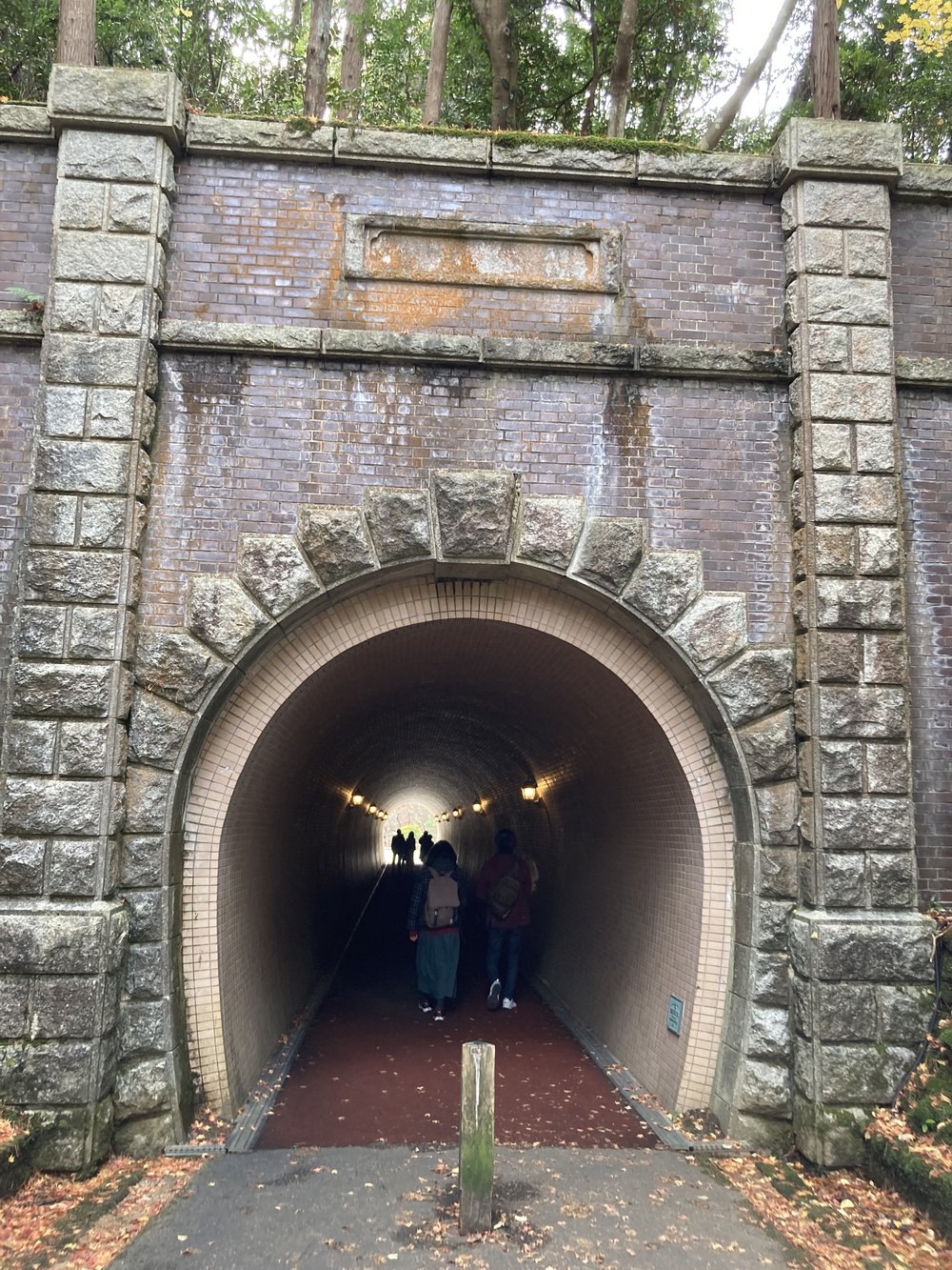 弥彦山近くの隠れた名ルート(だいろの湯スタート/ゴール)の写真13