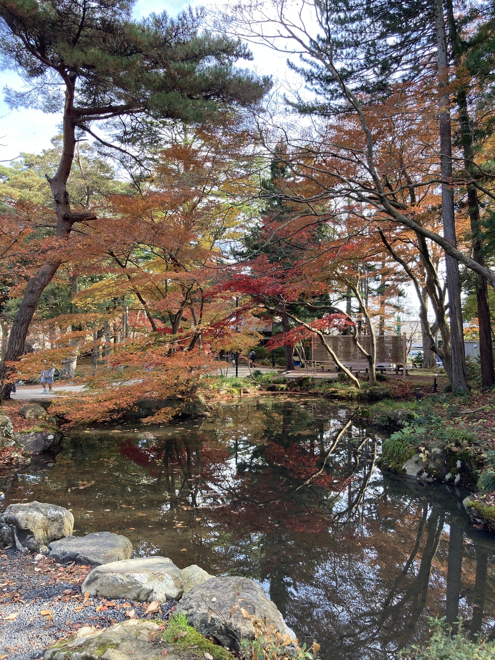 弥彦山近くの隠れた名ルート(だいろの湯スタート/ゴール)の写真17