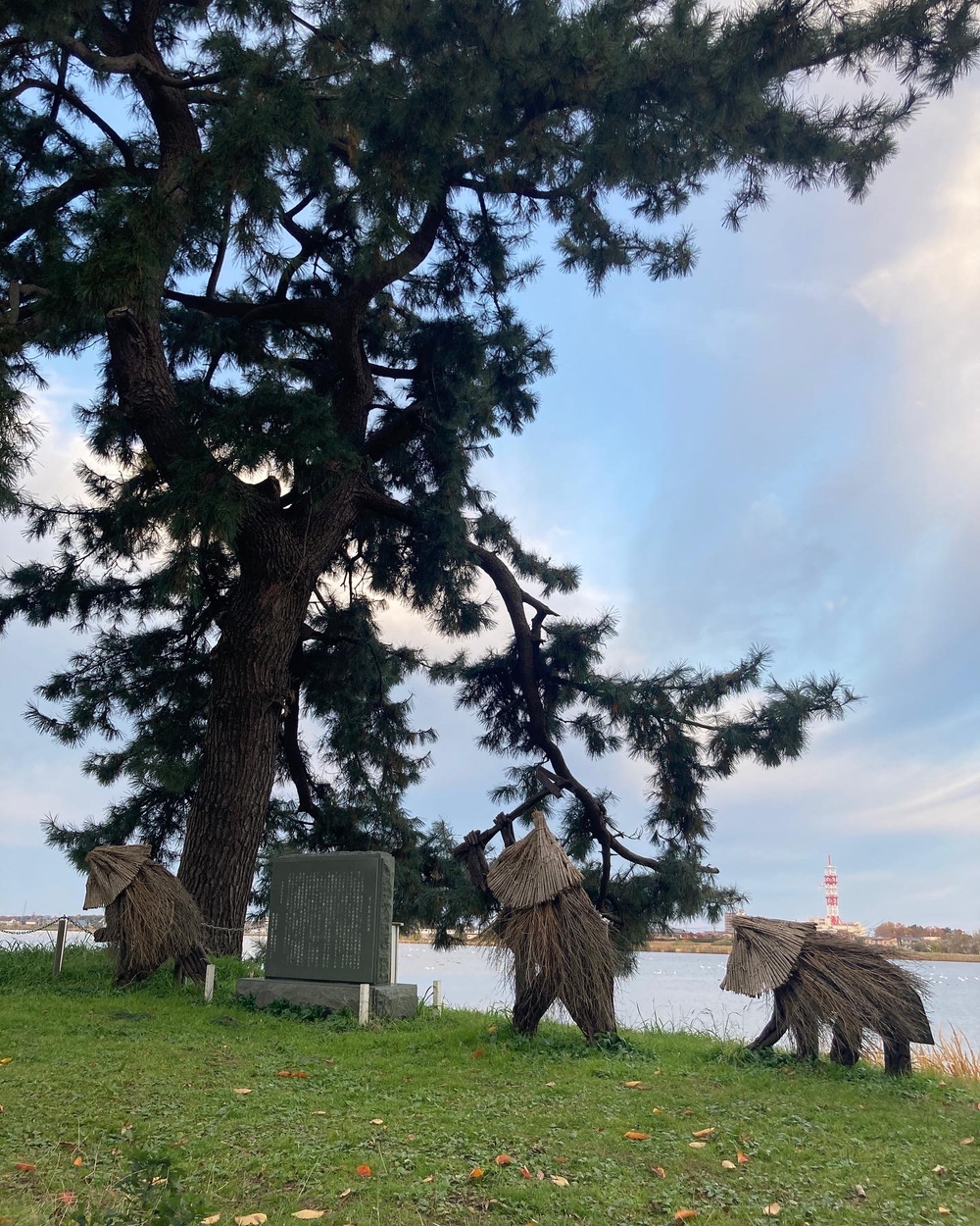 鳥屋野潟ぐるっとコース(新潟駅着)の写真3