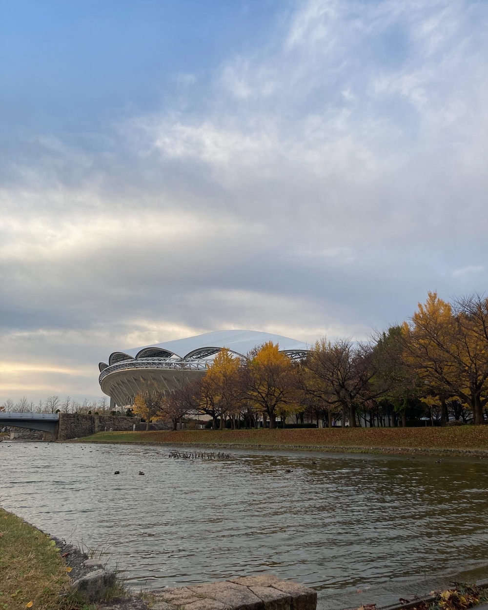 鳥屋野潟ぐるっとコース(新潟駅着)の写真4