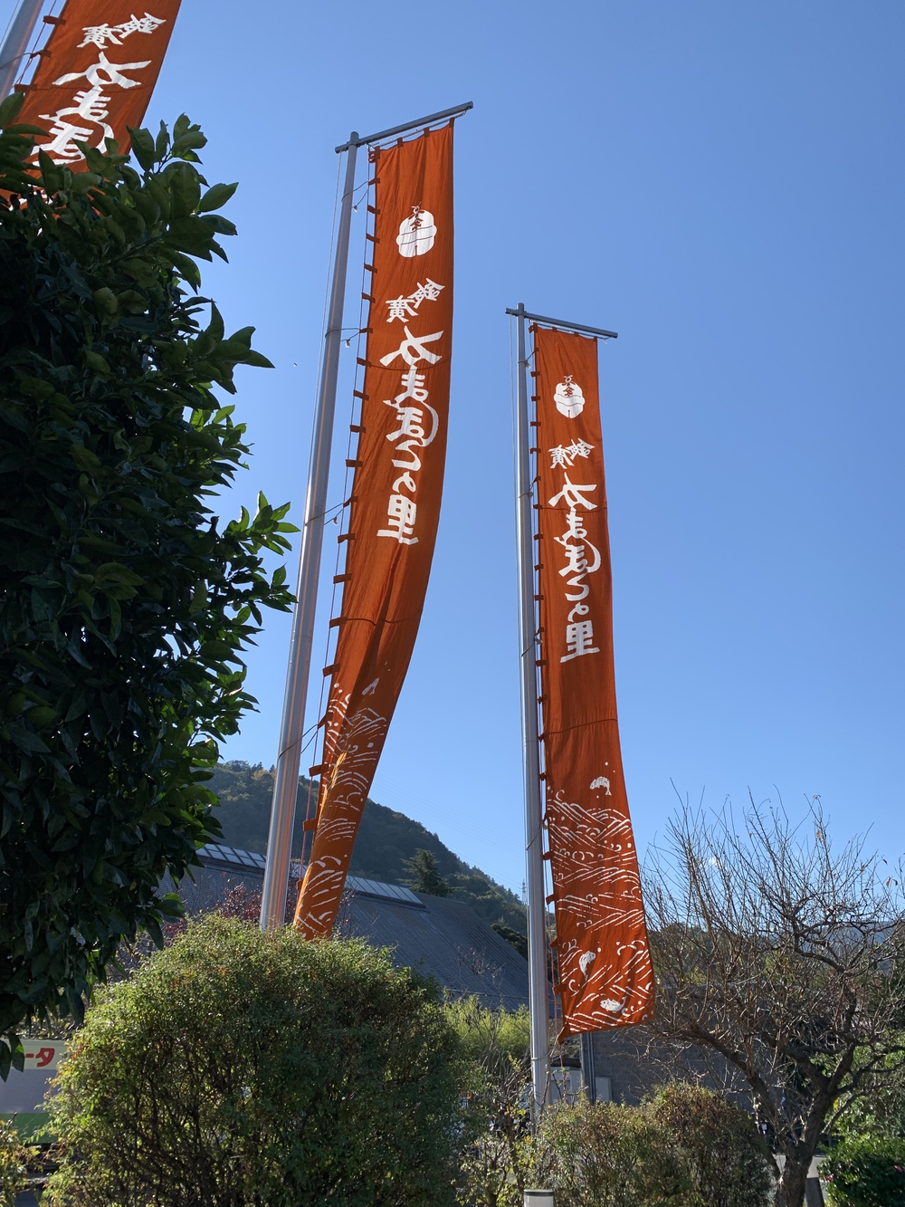 【月一沿線倶楽部】秋の箱根路　箱根登山鉄道小田原〜強羅の写真3
