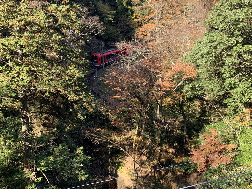 【月一沿線倶楽部】秋の箱根路　箱根登山鉄道小田原〜強羅の写真4