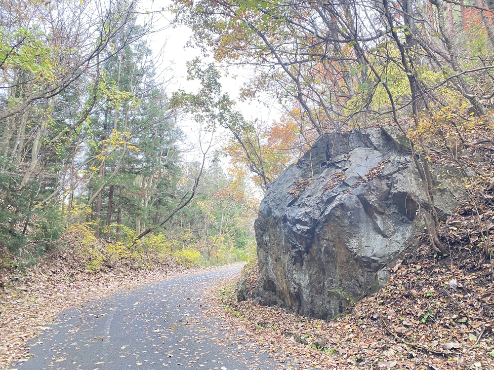 盛岡市郊外ラン アップルロード～盛岡駅 17 キロ の写真4