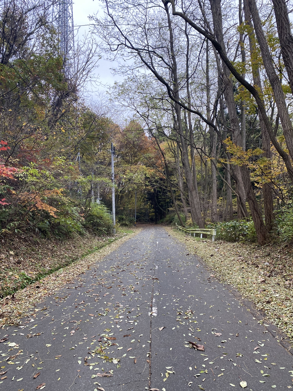 盛岡市郊外ラン アップルロード～盛岡駅 17 キロ の写真5