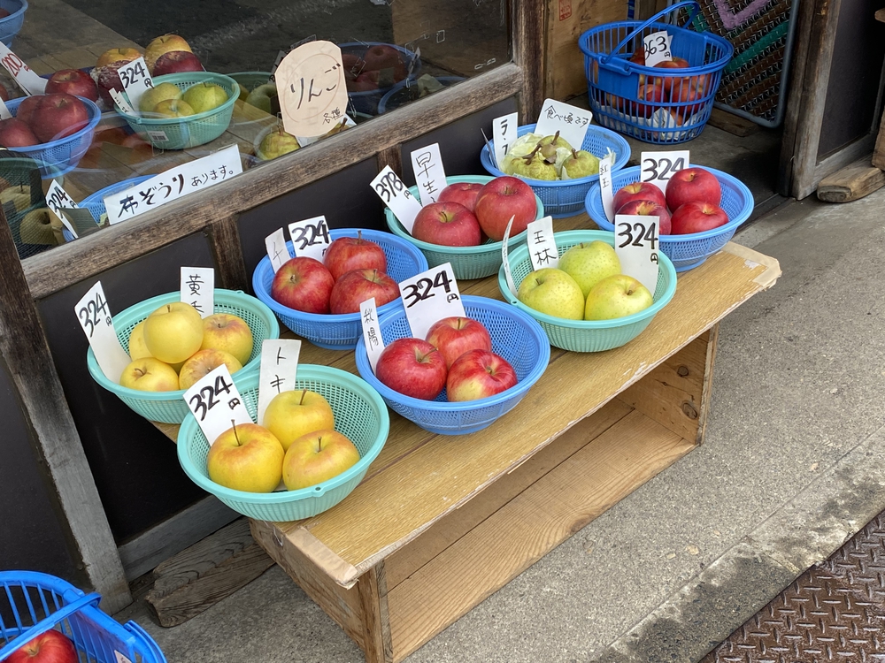 盛岡市郊外ラン アップルロード～盛岡駅 17 キロ の写真11