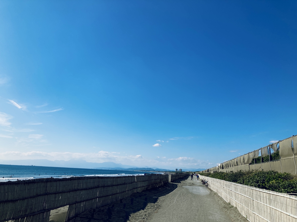 REAL VRWC 5km 辻堂海浜公園⇄茅ヶ崎サザンビーチ©︎の写真3