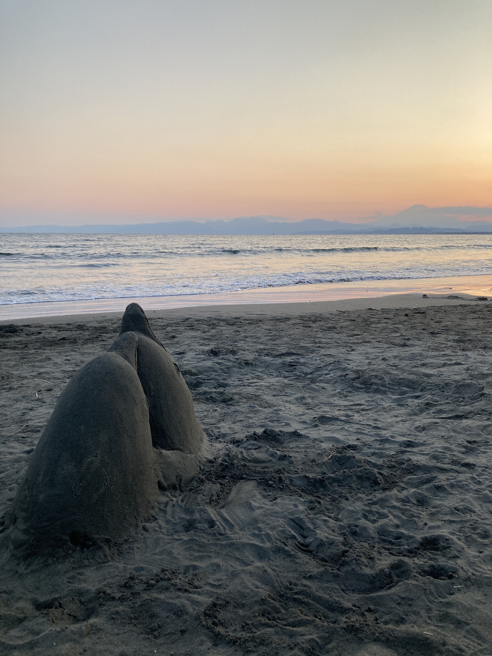 REAL VRWC 10km 辻堂海浜公園⇄鎌倉由比ヶ浜の写真8