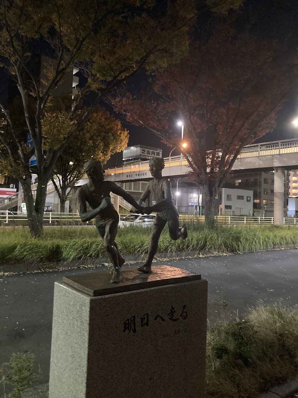 勝手に箱根駅伝（往路）の写真6