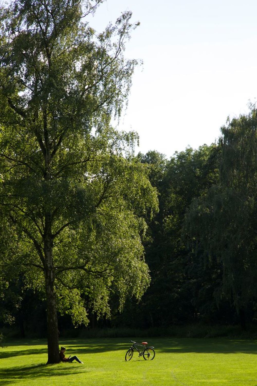 ティーアガルテンとブランデンブルグ門の写真5