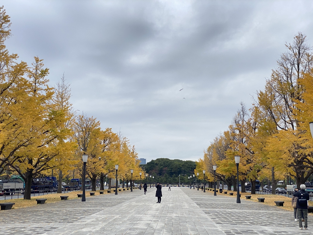 皇居周回～神宮外苑～明治神宮～新宿駅 16 キロの写真4