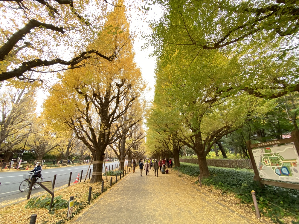 皇居周回～神宮外苑～明治神宮～新宿駅 16 キロの写真8
