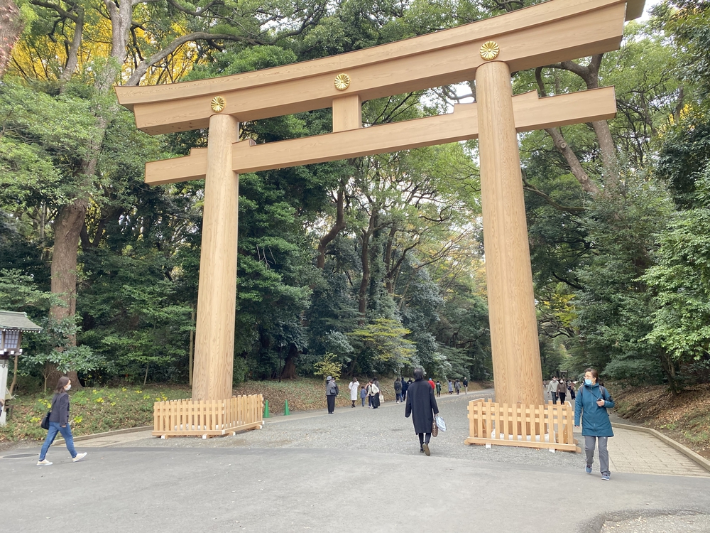 皇居周回～神宮外苑～明治神宮～新宿駅 16 キロの写真9