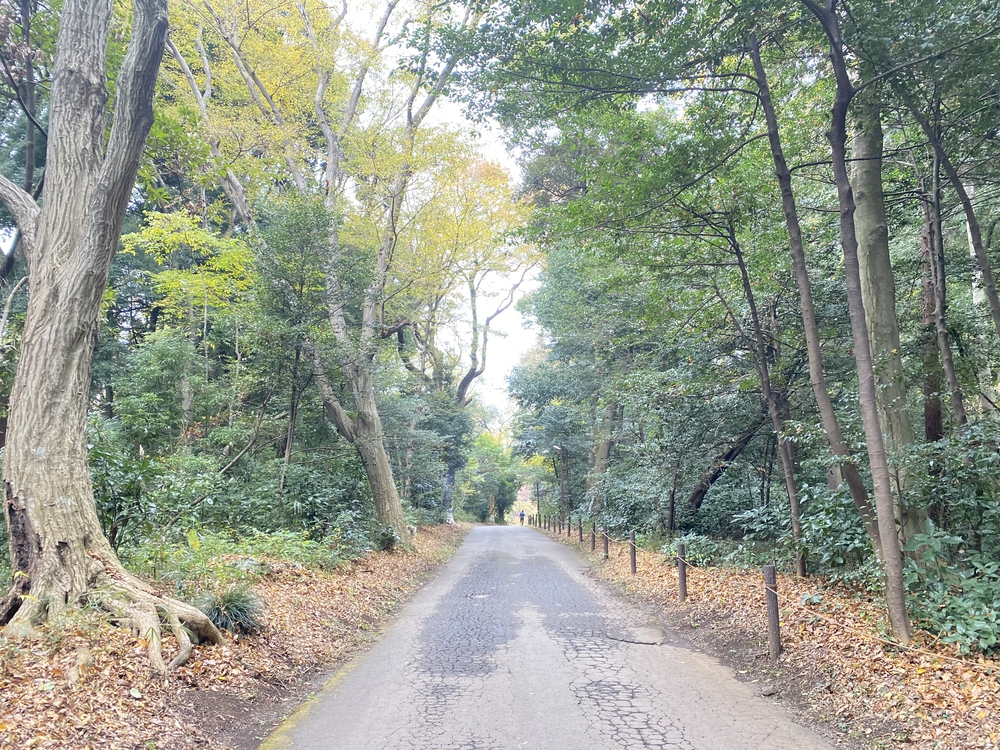 皇居周回～神宮外苑～明治神宮～新宿駅 16 キロの写真11