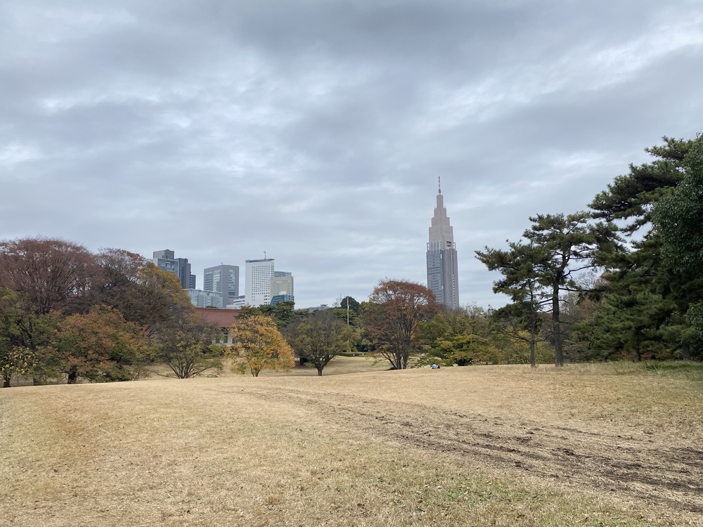皇居周回～神宮外苑～明治神宮～新宿駅 16 キロの写真12