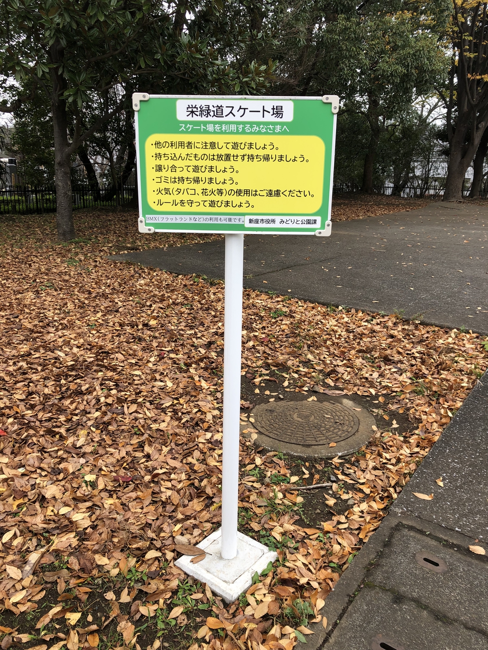 【新座ラン】新座緑道から和光樹林公園への写真4