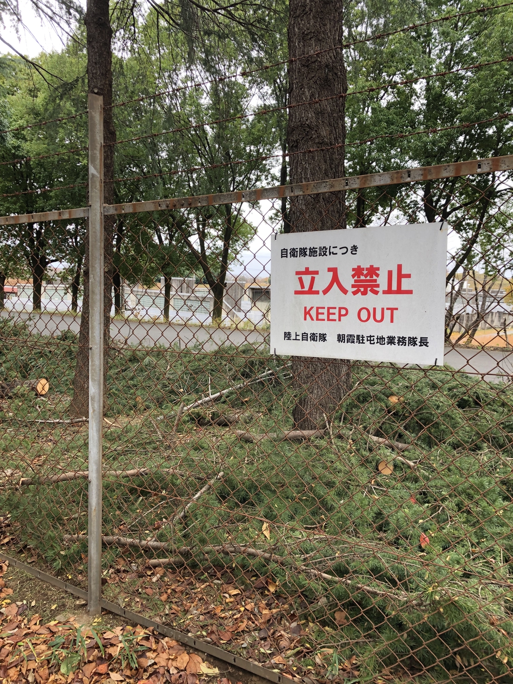 【新座ラン】新座緑道から和光樹林公園への写真5