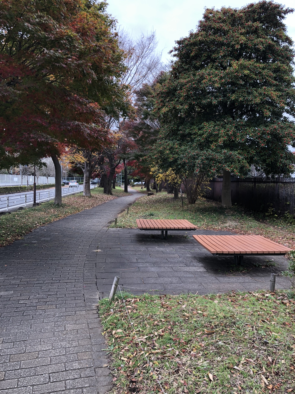 【新座ラン】新座緑道から和光樹林公園への写真7