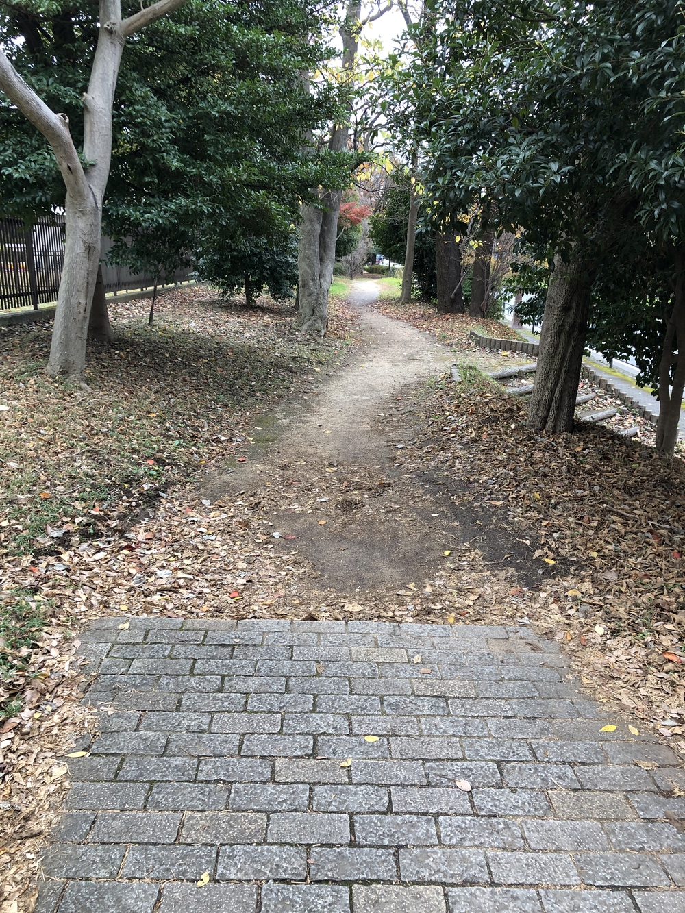 【新座ラン】新座緑道から和光樹林公園への写真9