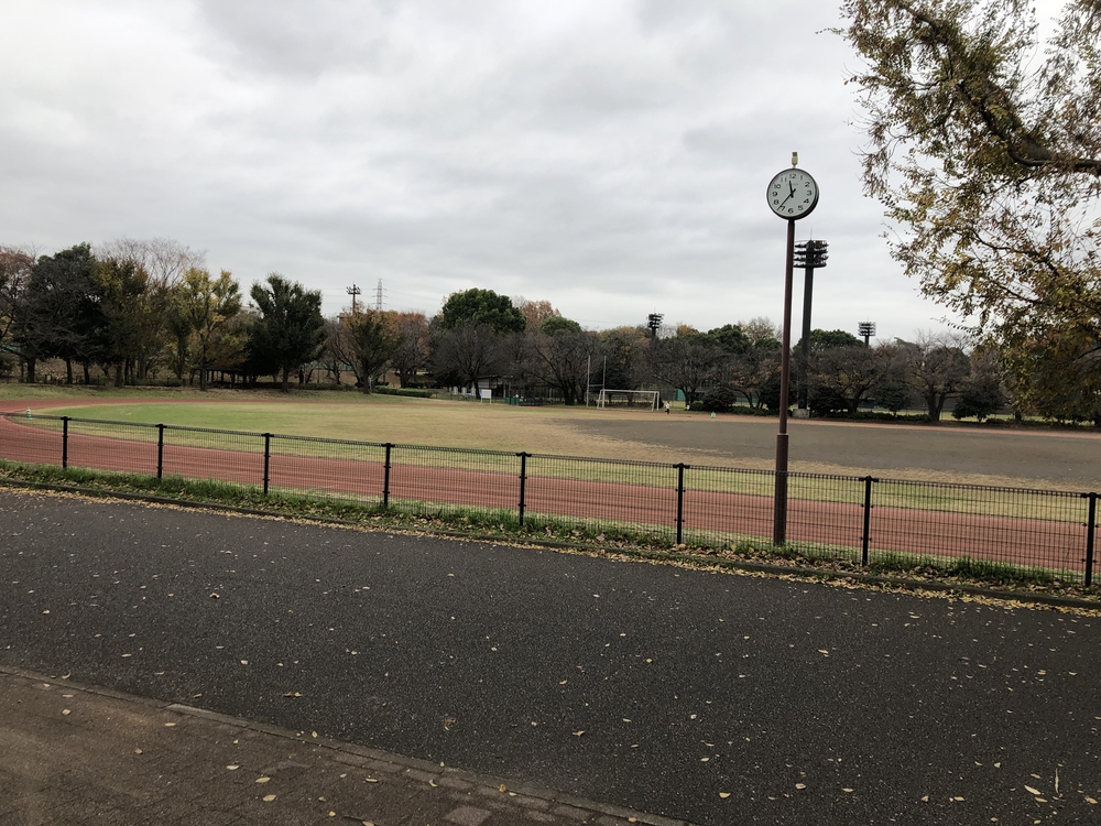 【新座ラン】新座緑道から和光樹林公園への写真11