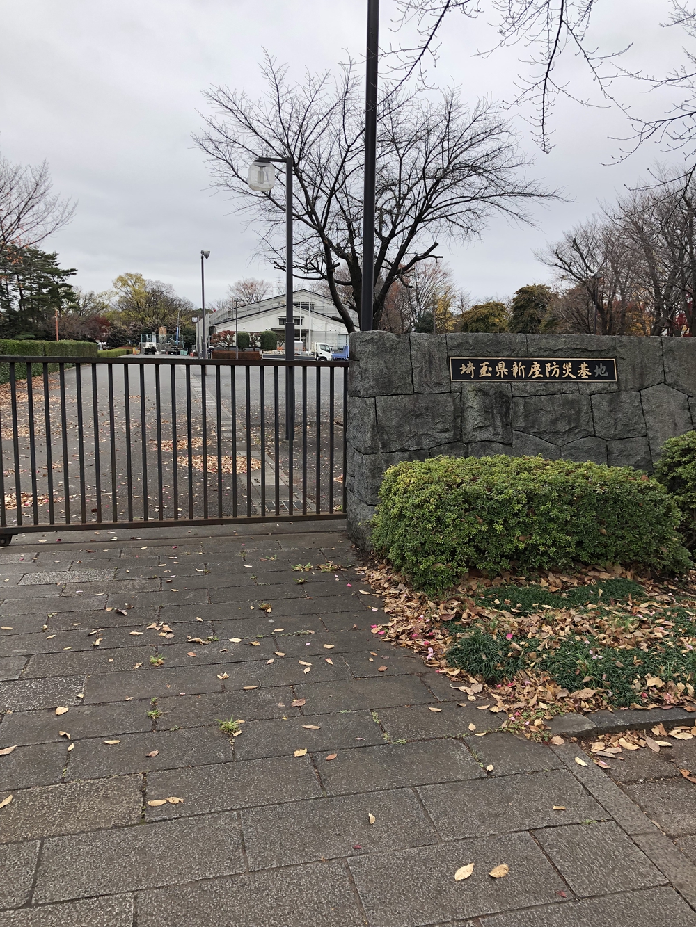 【新座ラン】新座緑道から和光樹林公園への写真12